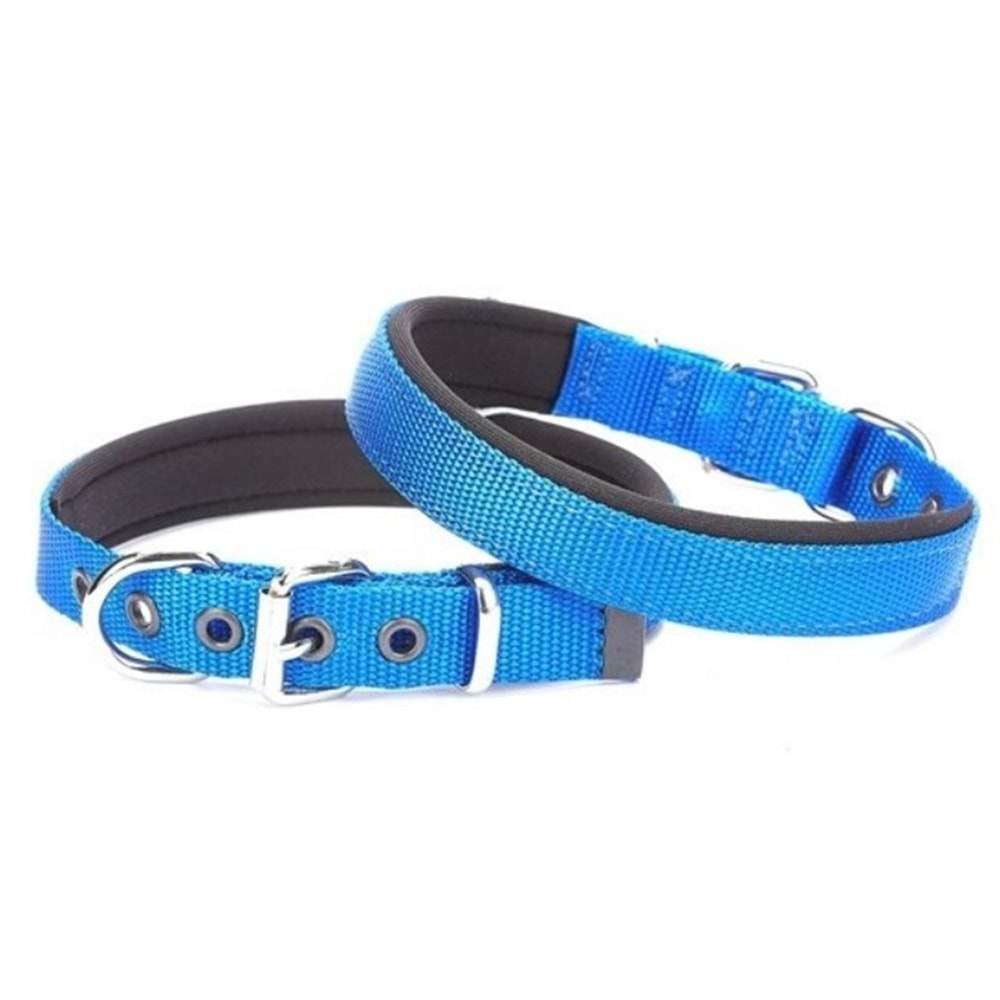 DOGGIE DSBT2010 - ROYAL BLUE - MEDIUM