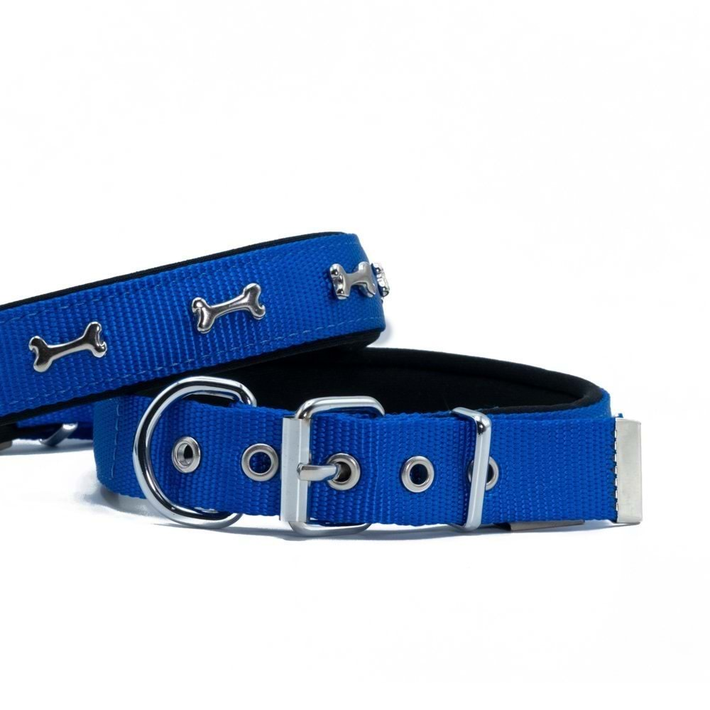 DOGGIE DSBT2562 - ROYAL BLUE - LARGE