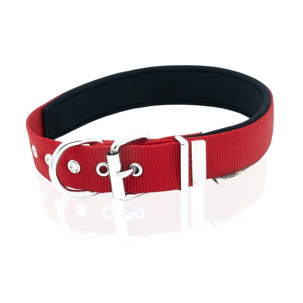 DOGGIE DSBT3010 - KIRMIZI - MEDIUM