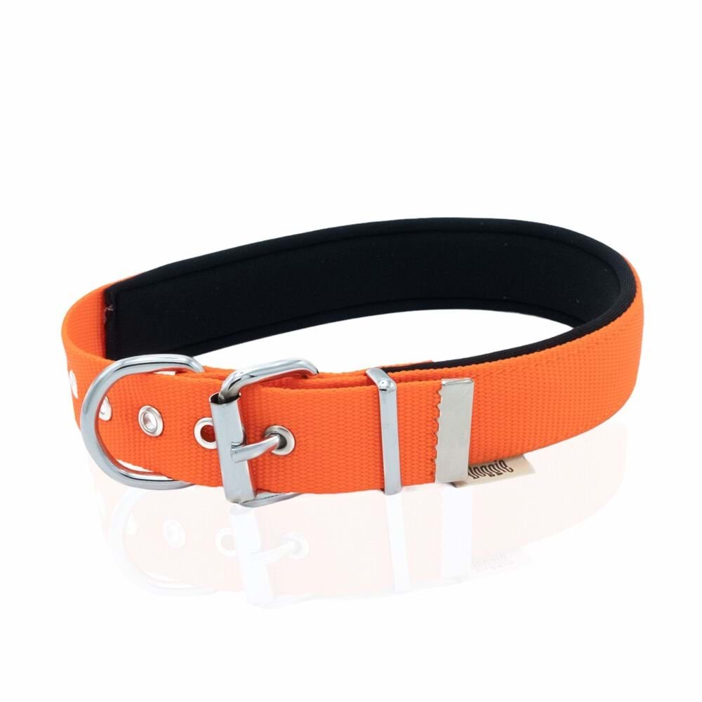 DOGGIE DSBT3010 - TURUNCU - MEDIUM