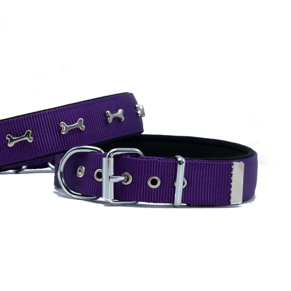 DOGGIE DSBT3062 - MOR - MEDIUM