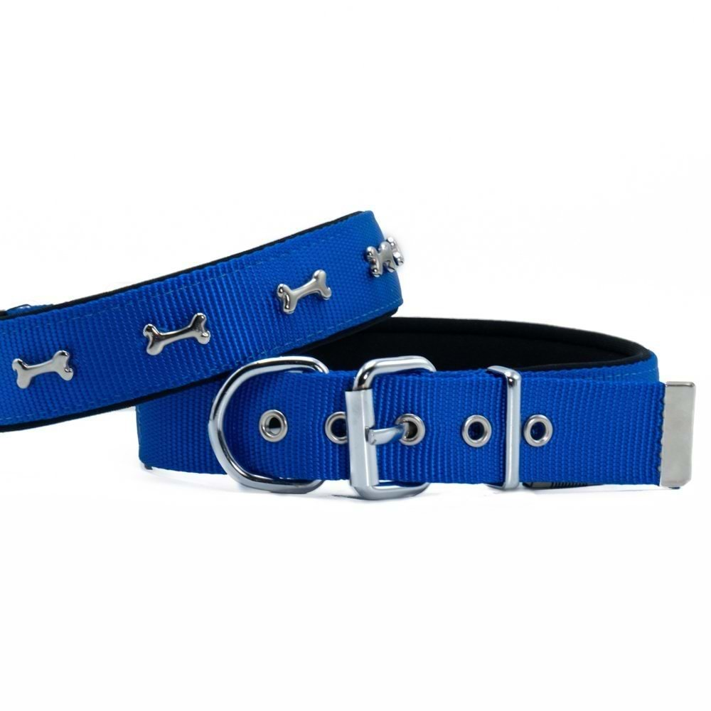 DOGGIE DSBT3062 - ROYAL BLUE - MEDIUM