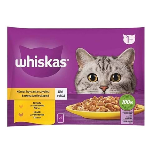 Whiskas Pouch Jöle İçinde Tavuklu ve Hindili Yetişkin Kedi Konservesi 85gr (4'lü)