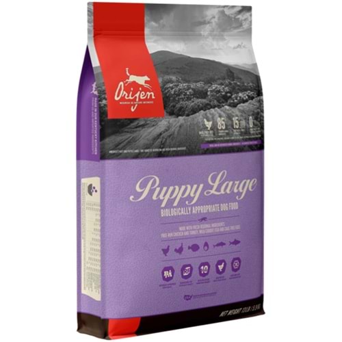 Orijen Puppy Large Tahılsız Büyük Irk Yavru Köpek Maması 11,4kg