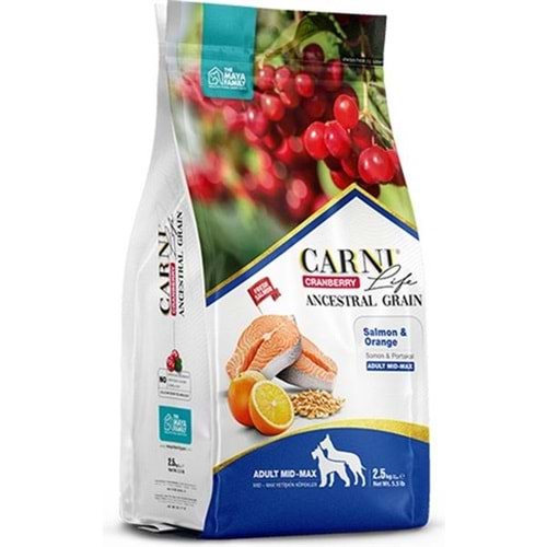Carni Life Cranberry Somonlu ve Portakallı 12 kg Orta ve Büyük Irk Yetişkin Köpek Maması