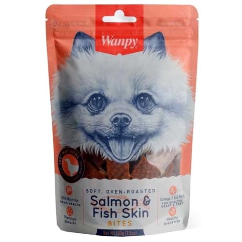 Wanpy Gerçek Somon Dilimleri 100 gr Köpek Ödülü