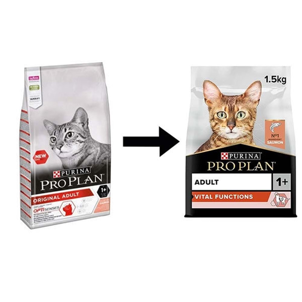 Somonlu Ve Pirinçli Yetişkin Kedi Maması 10 kg